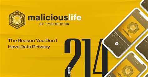 Experts Expose the Hidden Dangers of Ignoring the Anon IB Archive and the Future of Privacy - gj3fcnt