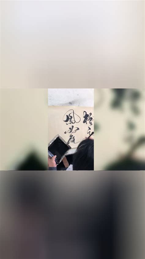 梧高凤必落花香蝶自来赵宏书法腾讯视频