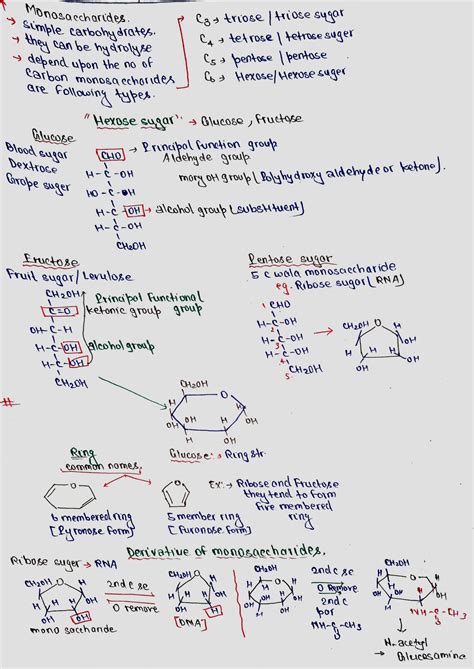 SOLUTION Biomolecules Handwritten Notes For Neet Studypool