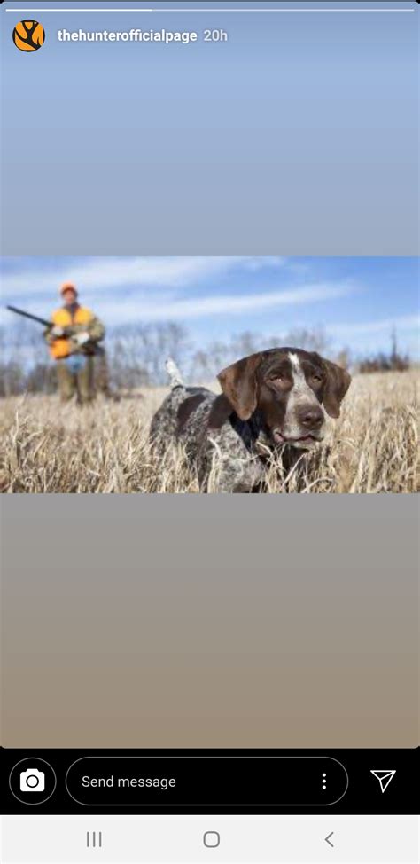 Hold The Fuck Up R TheHunter