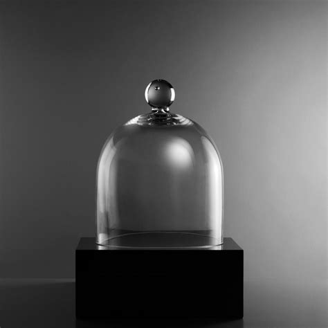 The Art Of Display How To Style With Glass Cloche In Your Home Glass