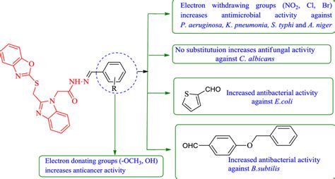 Structure Activity Relationship Of The Synthesized Compounds Download Scientific Diagram