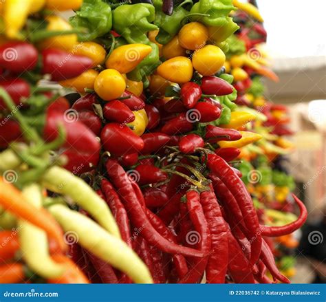 Chili Peppers Stock Photo Image Of Closeup Outdoors 22036742