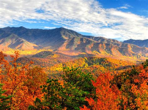 Best Fall Foliage In The Us Gatlinburg Tennessee