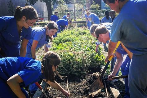 Pocket Urban Farm Activities And Tours Musc Charleston Sc