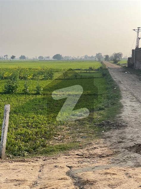 8 Kanal Farm House Land On Bedian Road Near Dha Phase 10 Lahore Bedian