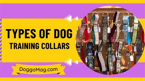 10 Worthy Types of Dog Training Collars To Restrain Your Dog Well ...