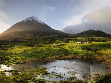 The volcano, 2351 meters high, at the Pico island. His last eruption ...