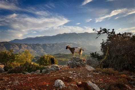 Kaart Van Kreta Waar Ligt Het Eiland Kreta In Europa