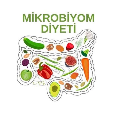 Mikrobiyom Diyeti Prof Dr Nevrez Koylan