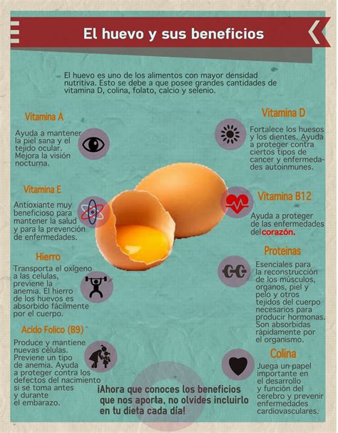 Cuaderno De Salud Y Dietética Infografía Beneficios Del Huevo