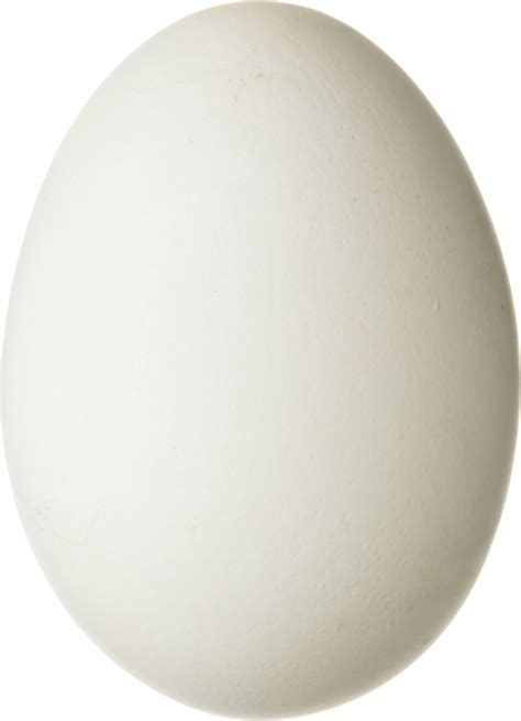 Яйцо PNG фото