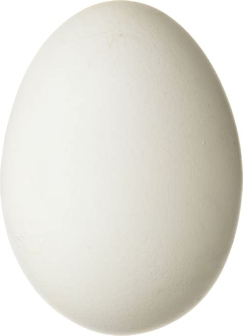 Egg Png Image Transparent Image Download Size 800x1106px