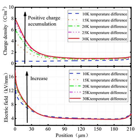 The Charge Density And Electric Field Distributions At The