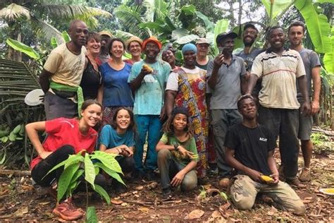 Les filières cacao et café à la relance avec le Banga au chocolat