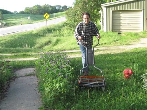 Best Reel Mower For Tall Grass