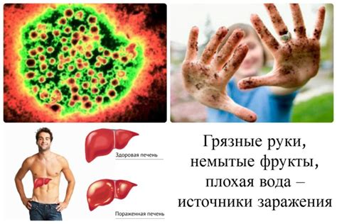 Как можно заразиться гепатитом и передается ли от человека к человеку?