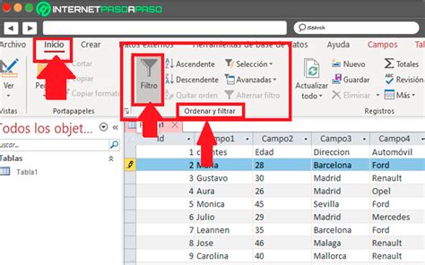Filtros de Microsoft Access Qué Son Utilidad 2024