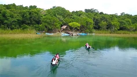 Coba Ruins Punta Laguna Reserve Tour The Ultimate Mayan Experience