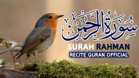 Surah Rahman Beautiful Voice Tilawat Qari Ameer Ali Rind YouTube