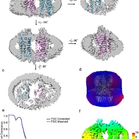 Overlay Of Rhodopsin Gi And Rhodopsin Arrestin Complex Structures With