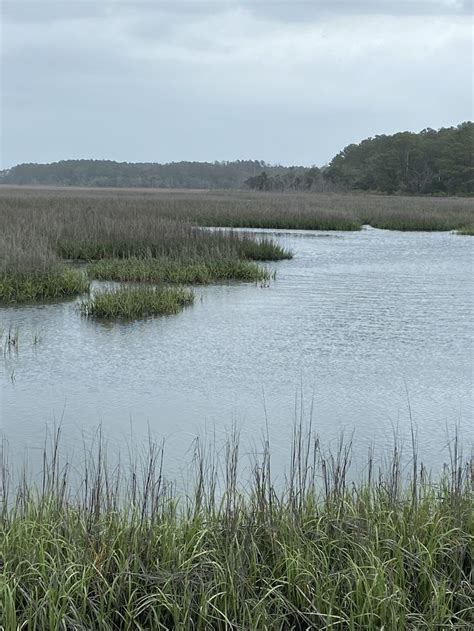 A Body Of Water Surrounded By Tall Grass