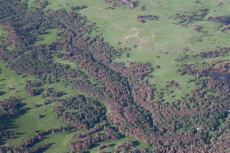Pine Ridge Fires Nebraska J Sidle Flickr