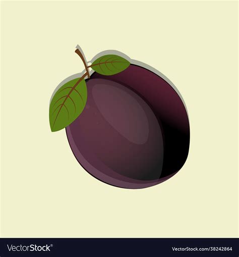 Plum Royalty Free Vector Image Vectorstock