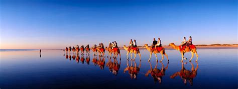 RED SUN CAMEL RIDE BROOME| Cable Beach Camel Sunset Tour