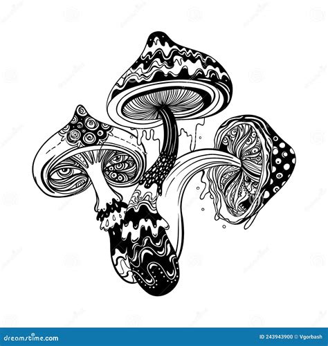 Magic Mushrooms Psychedelic Hallucination Outline Vector Illustration
