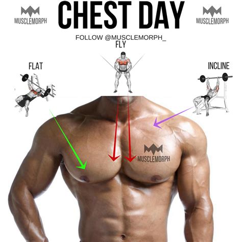 Chest Day Chest Exercise Chest Training Gym Bodybuilding Muscle