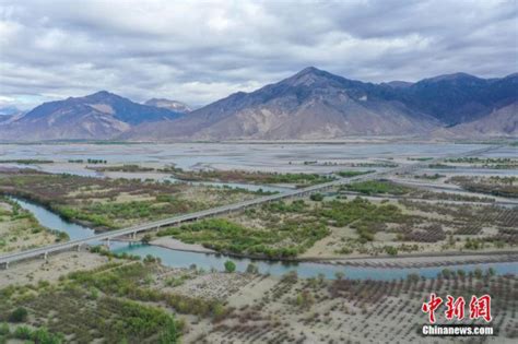 西藏山南雅鲁藏布江沿岸绿树成荫