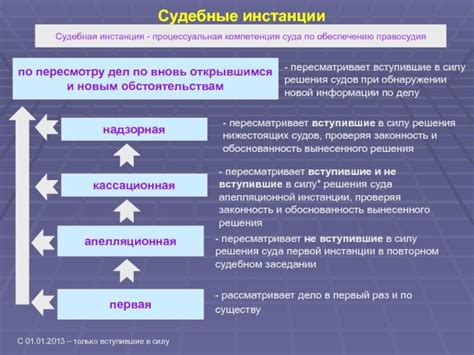 Судебные инстанции: определение, виды, сущность и особенности