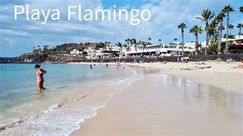 Playa Flamingo Beach Lanzarote Playa Blanca In The Winter Canary