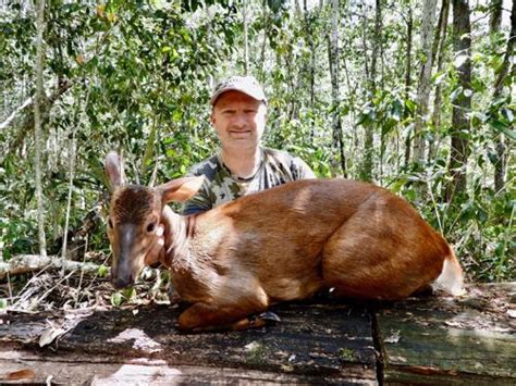 Venku Listing 6 Day Red Or Gray Brocket Deer Hunt