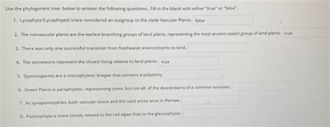 Solved use the phylogenetic tree below to answer the | Chegg.com 
