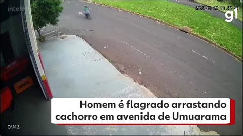 Cachorro Que Foi Arrastado Por Moto Em Avenida De Umuarama Retirado