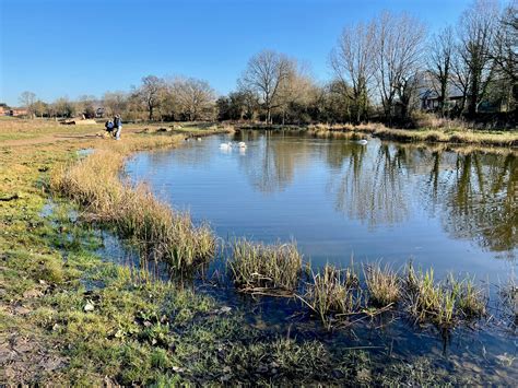 Spring – 2021 style! | Perivale Park London
