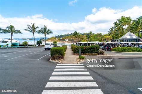 Hamilton Airport Photos And Premium High Res Pictures Getty Images