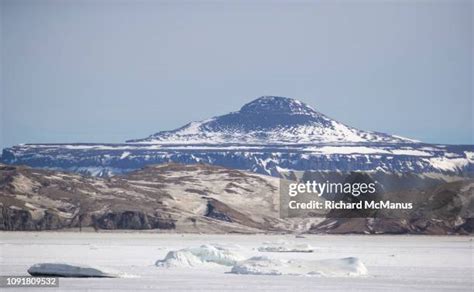 47 Seymour Island Antarctica Stock Photos, High-Res Pictures, and ...