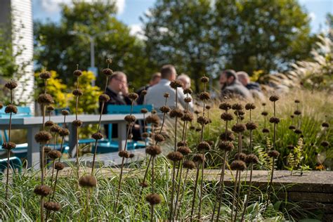 Nulmeting Werklandschappen Van De Toekomst