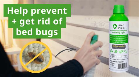 How To Prevent Bed Bugs With Permethrin Spray Insect Shield