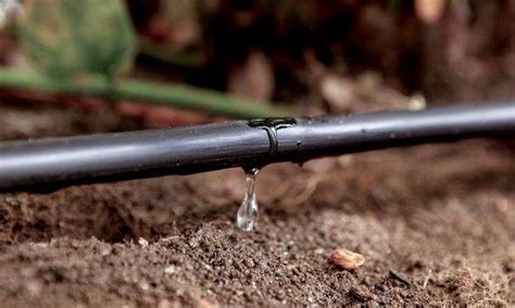 Best Drip Irrigation Systems | Advantage Irrigation