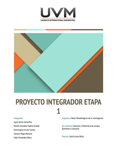 Proyecto Int Etapa Bmdli Bases Metodologicas De La Investigacion