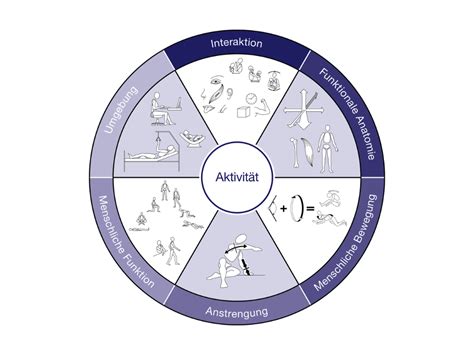 Was Ist Kinästhetik Studium Medizin Biologie