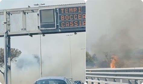 Incendio Sulla Pisana La Colonna Di Fumo Nero Invade Le Corsie Del