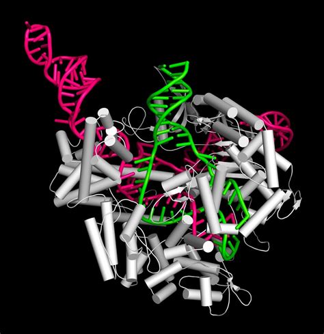 Scientists in race to test CRISPR gene-editing technique on cancer ... 