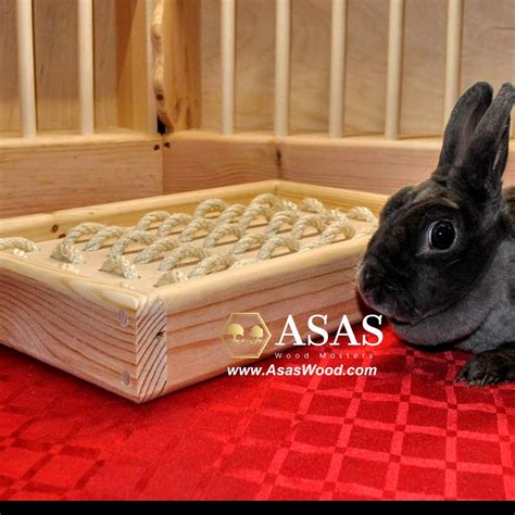 Rabbit Digging Box Rabbit Digging Platform ️ ️ ️ Asaswood