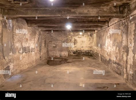 Chambre Gaz I Situ Dans Le Domaine De L Auschwitz I C Est La Seule