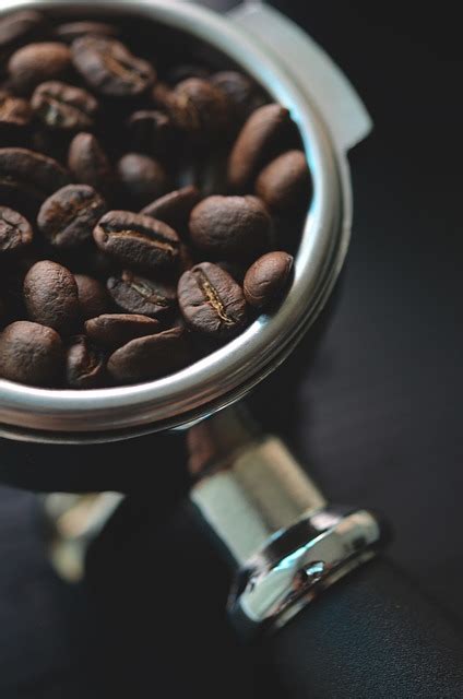 Coffee Bean Seed Free Photo On Pixabay